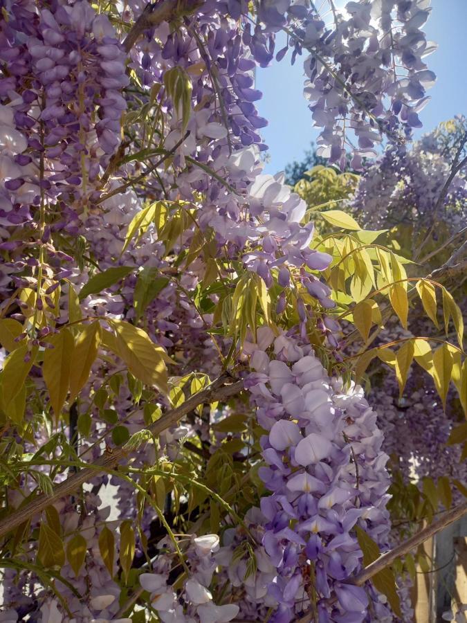 Lilac House Corfu  Buitenkant foto